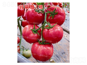 �����I1̖-���t���N��-�˶��fʢ