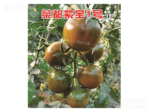 �˶��ό�1̖-���t���N��-�˶��fʢ