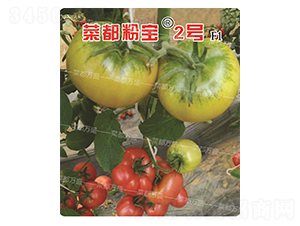 �˶��ی�2̖-���t���N��-�˶��fʢ