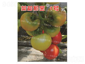 �˶��ی�1̖-���t���N��-�˶��fʢ