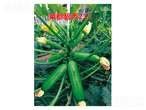 �˶�����212-�����J�N��-�˶��fʢ