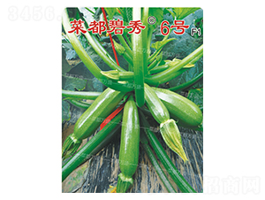 �˶�����6̖(h��o)-�����J�N��-�˶��f(w��n)ʢ