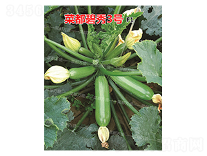 �˶�����3̖(h��o)-�����J�N��-�˶��f(w��n)ʢ