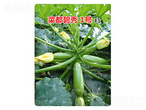 �˶�����1̖(h��o)-�����J�N��-�˶��f(w��n)ʢ