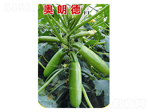 �W�ʵ�-�����J�N��-�˶��f(w��n)ʢ