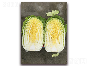 Խ������-��ײ˷N��-���A�N�I(y��)