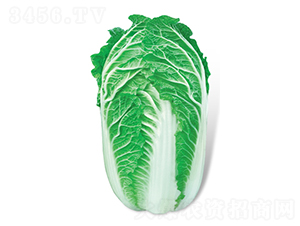 ���մ���-��ײ˷N��-���A�N�I(y��)