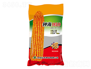 犺�959���t����-���׷N��-�ɺ̷N�I(y��)