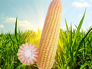 �x��71-���׷N��-��Դ�N�I(y��)