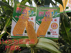 �ÿ�14-���׷N��-��Դ�N�I(y��)