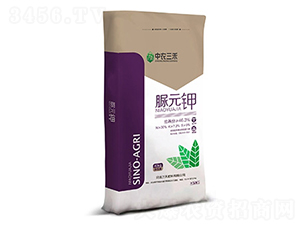 ��Ԫ�-���r(n��ng)����