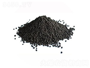 �w����ֲ��-����ֲ��