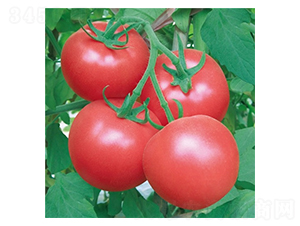 ����68-���ѷN��-��Ļ��