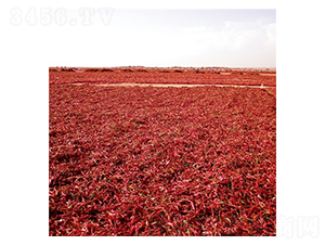 ���t2̖-�����N��-��Ļ��