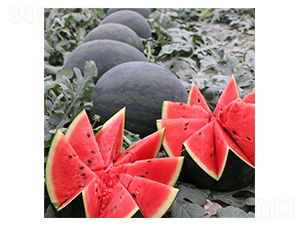 Ļ��Ҍ�-���ϷN��-��Ļ��