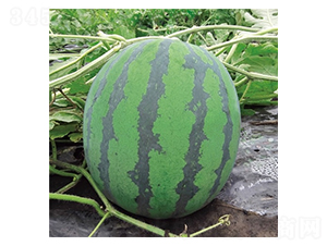 Ļ��ϲ�혷-���ϷN��-��Ļ��