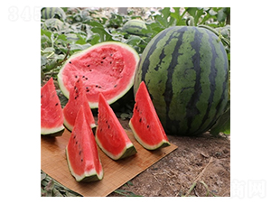 Ļ��t��-���ϷN��-��Ļ��