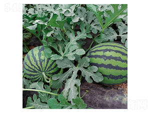 Ļ��ʹ��-���ϷN��-��Ļ��