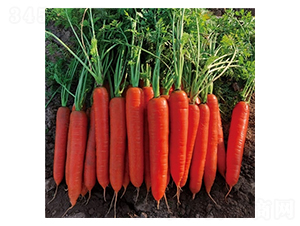 �G�t99-���}���N��-��Ļ��