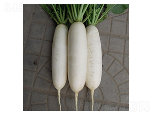 �׸���2̖-�}���N��-��Ļ��