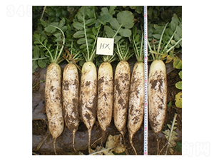 ��ѩ-�}���N��-��Ļ��