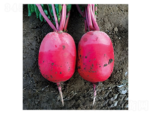 Ļ���F�t-�}���N��-��Ļ��