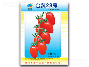 �_��28-С���ѷN��-��֮��