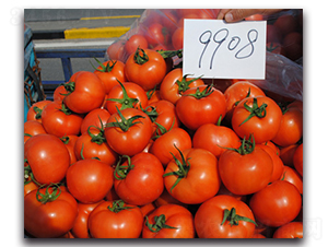 ����9908-���ѷN��-��֮��