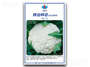 ����85��-�ɻ��˷N��-��֮��