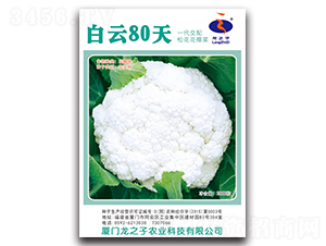 ����80��-�ɻ��˷N��-��֮��