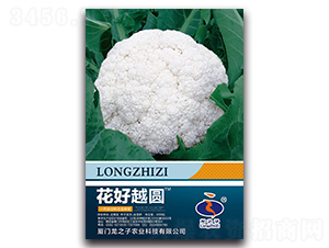 ����Խ�A-�ɻ��˷N��-��֮��