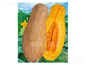 �۱��Ϲ�-�ϹϷN��-�wِ�w