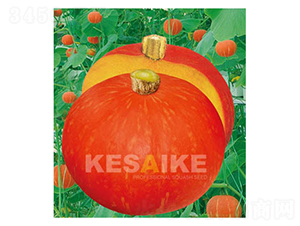 �t��ʯ�����Ϲ�-�ϹϷN��-�wِ�w