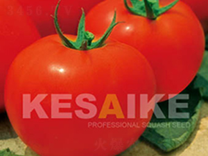 ���غ�-���ѷN��-�wِ�w