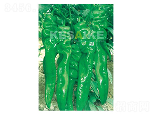 ����һ̖-�����N��-�wِ�w