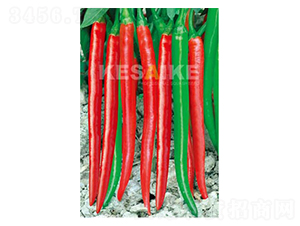 �����L�S-�����N��-�wِ�w