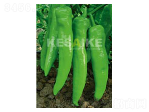 ِ�S��̖-�����N��-�wِ�w