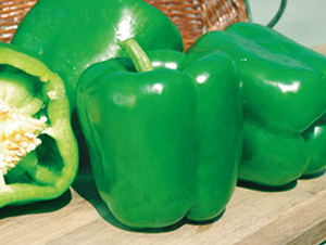 ِ����̖-�𽷷N��-�wِ�w