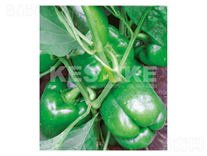 ��׿-�𽷷N��-�wِ�w