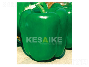 ���_-�𽷷N��-�wِ�w