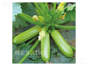 �P��(y��u)-�����J�N��-�wِ�w