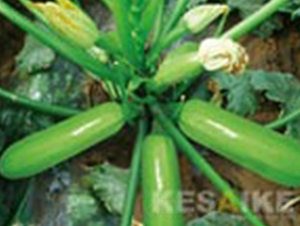 ���-�����J�N��-�wِ�w