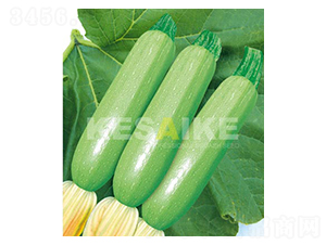 ���������J-�����J�N��-�wِ�w