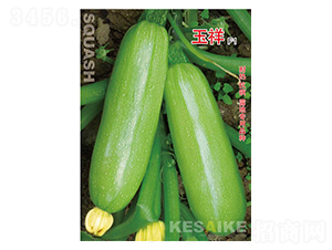 ����-�����J�N��-�wِ�w