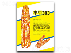 �S��303-���׷N��-�S���N�I(y��)