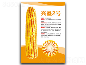 �d��2̖-���׷N��-�S���N�I(y��)