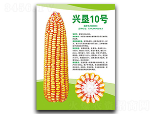 �d��10̖-���׷N��-�S���N�I(y��)