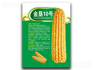 ����10̖-���׷N��-�S���N�I(y��)