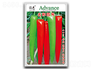 ������̖-�⽷�N��-ǰ�M