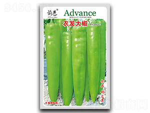 �r(n��ng)�l(f��)��-�⽷�N��-ǰ�M